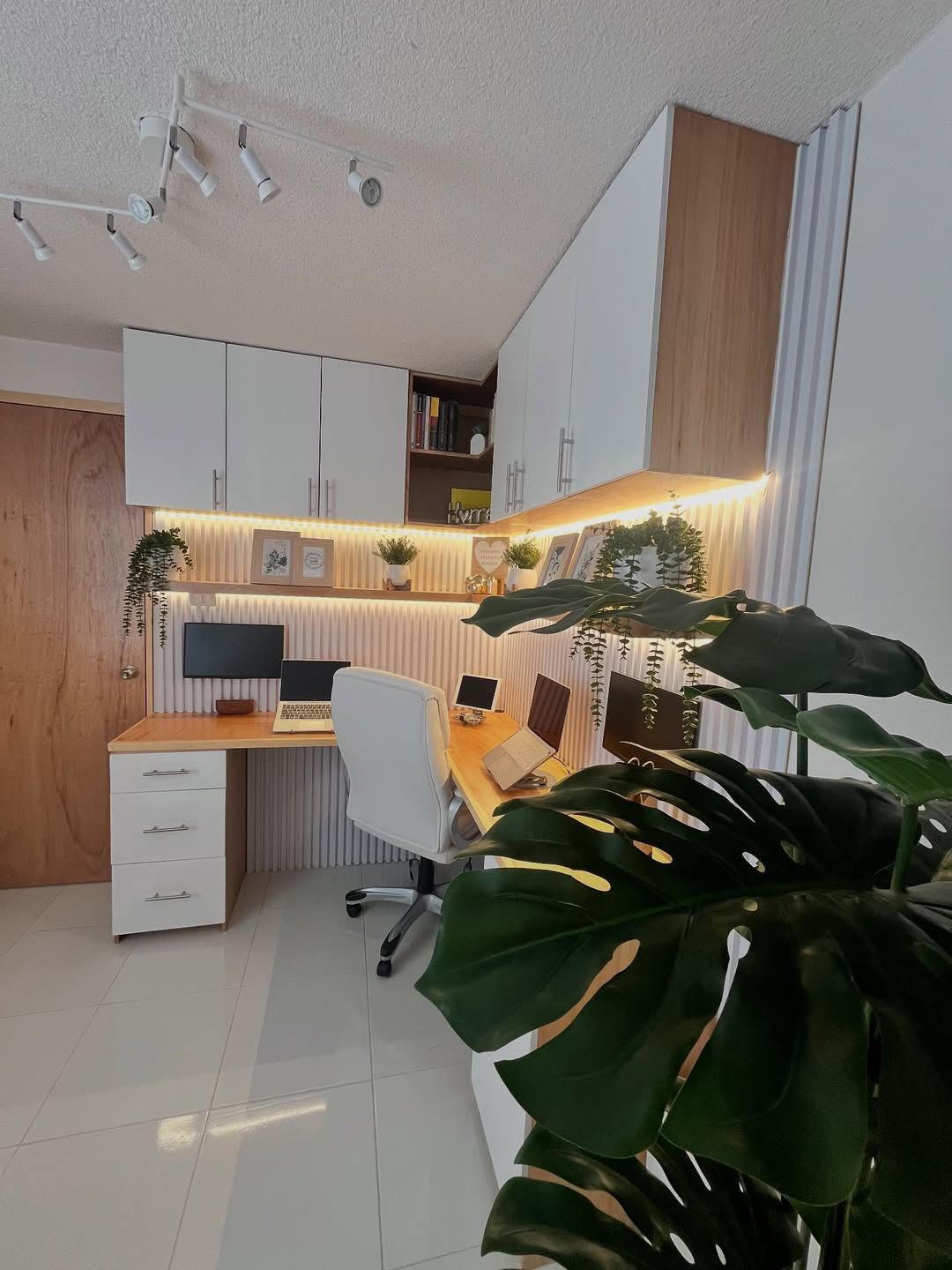 SaveClip.App_504122921_18507419962018475_694408203853657603_n