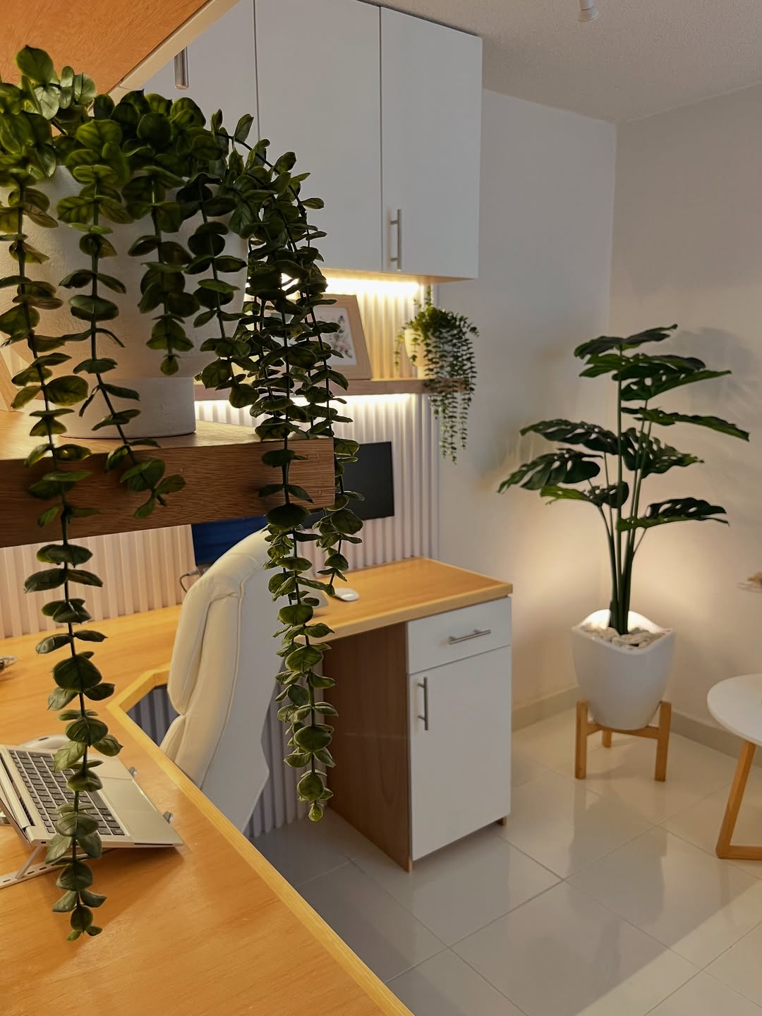 SaveClip.App_504582625_18507419980018475_3184259977450431235_n